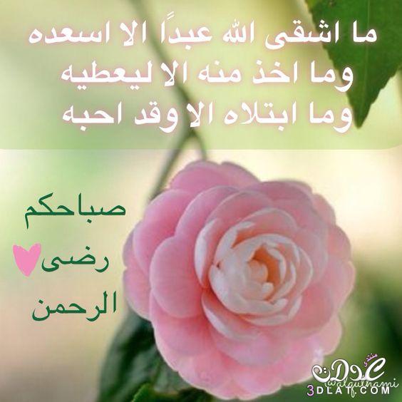 احدث الصور احدث الصور