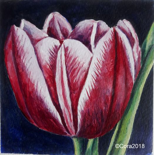 Journeys With Watercolors: Tulip in acrylic