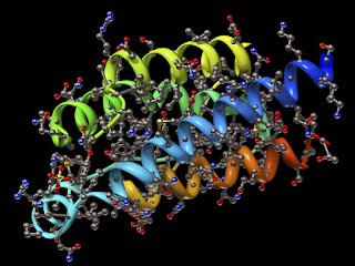 هل الصدفة قادرة على تركيب جزيء بروتيني واحد ؟