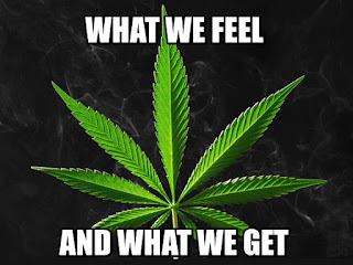 What we feel группа. Смотреть фото What we feel группа. Смотреть картинку What we feel группа. Картинка про What we feel группа. Фото What we feel группа