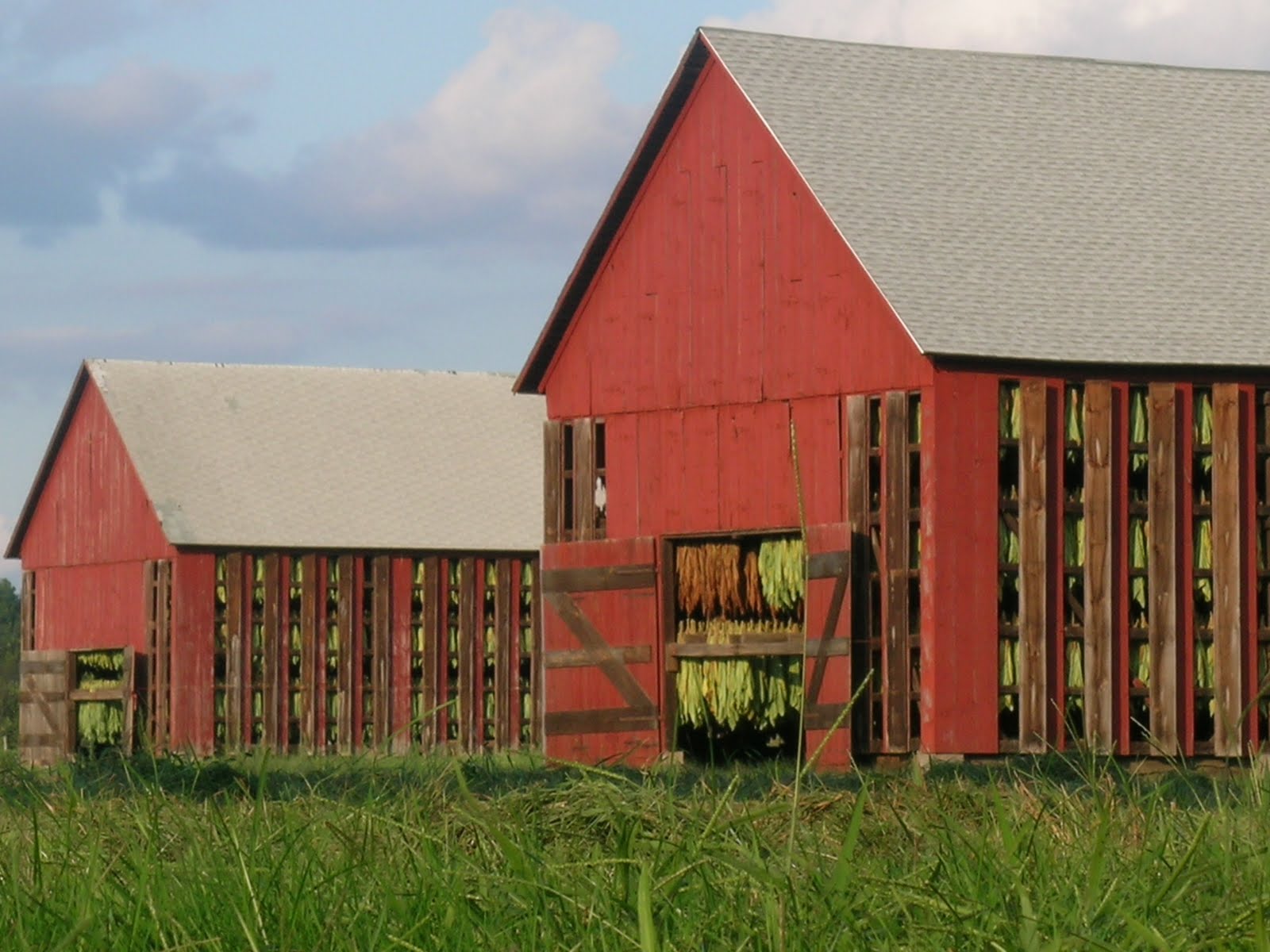 New England with Christopher Gurshin Tobacco Barns & Boxes