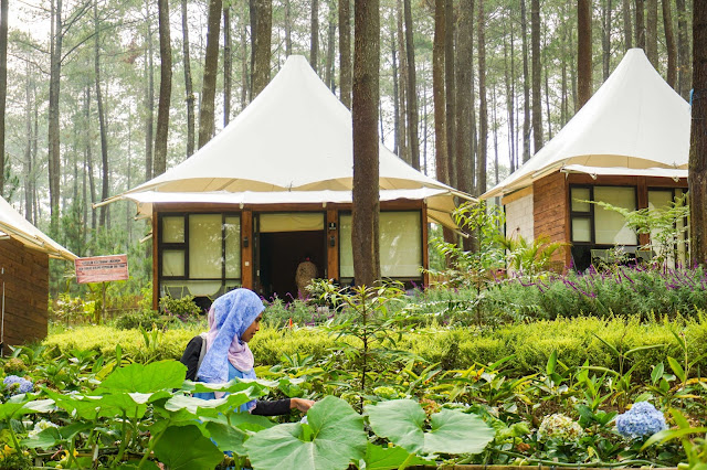 area resort ekslusif di Grafika Cikole Tahun baru di Grafika Cikole Lembang