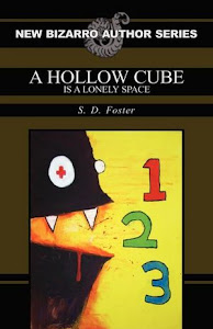 "A Hollow Cube is a Lonely Space" by S.D. Foster (paperback/Kindle/Nook)