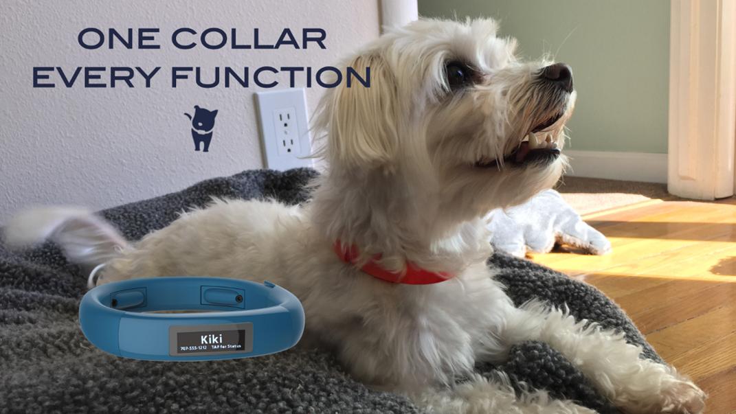 Smart Dogs Training And Lodging Plainfield Il Smart Dogs Training And Lodging Plainfield Il
