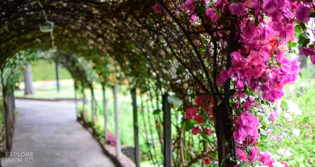 Flower tunnel, Landscaped gardens