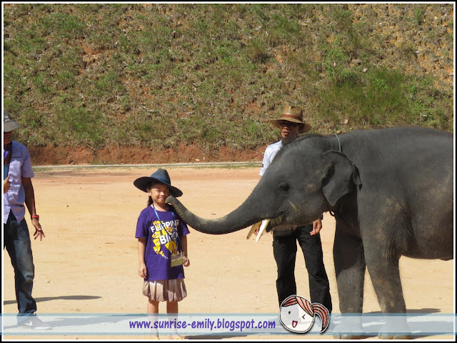 All about Elephants @ Kenyir Elephant Village, Terengganu
