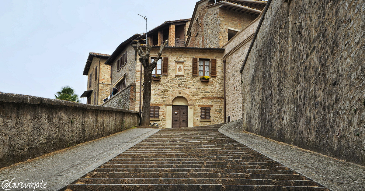 montone alta umbria