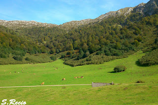 Brañagallones Brañagallones