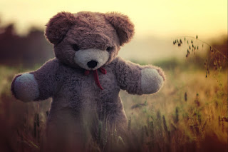 Teddy Bear Images Teddy Bear Images