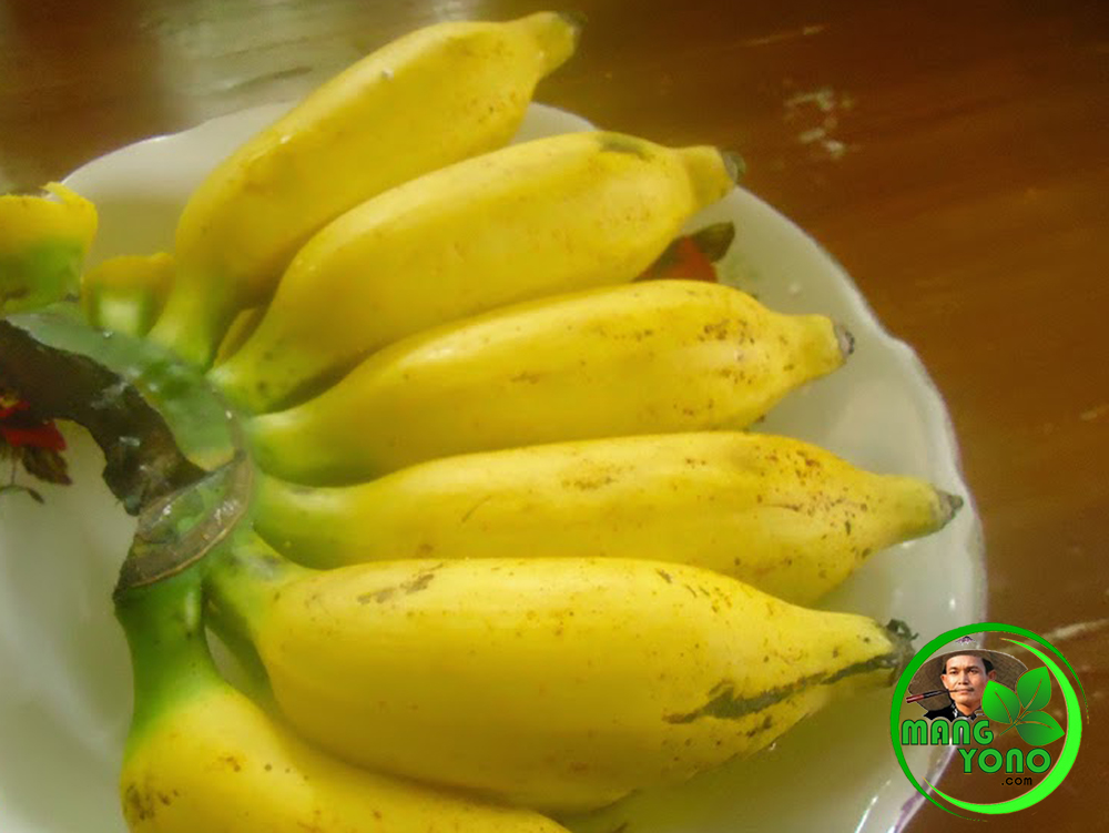 Manfaat Kulit Pisang Mas untuk Menjernihkan Air dan Minyak Jelantah