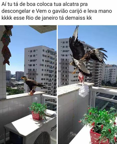 Memes engraçados Memes engraçados