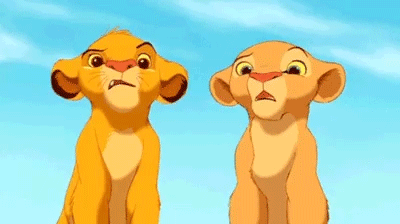 Japanese Zoo Performed A Lion Escape, And The Real Lions’ Reaction Was Priceless Japanese Zoo Performed A Lion Escape, And The Real Lions’ Reaction Was Priceless