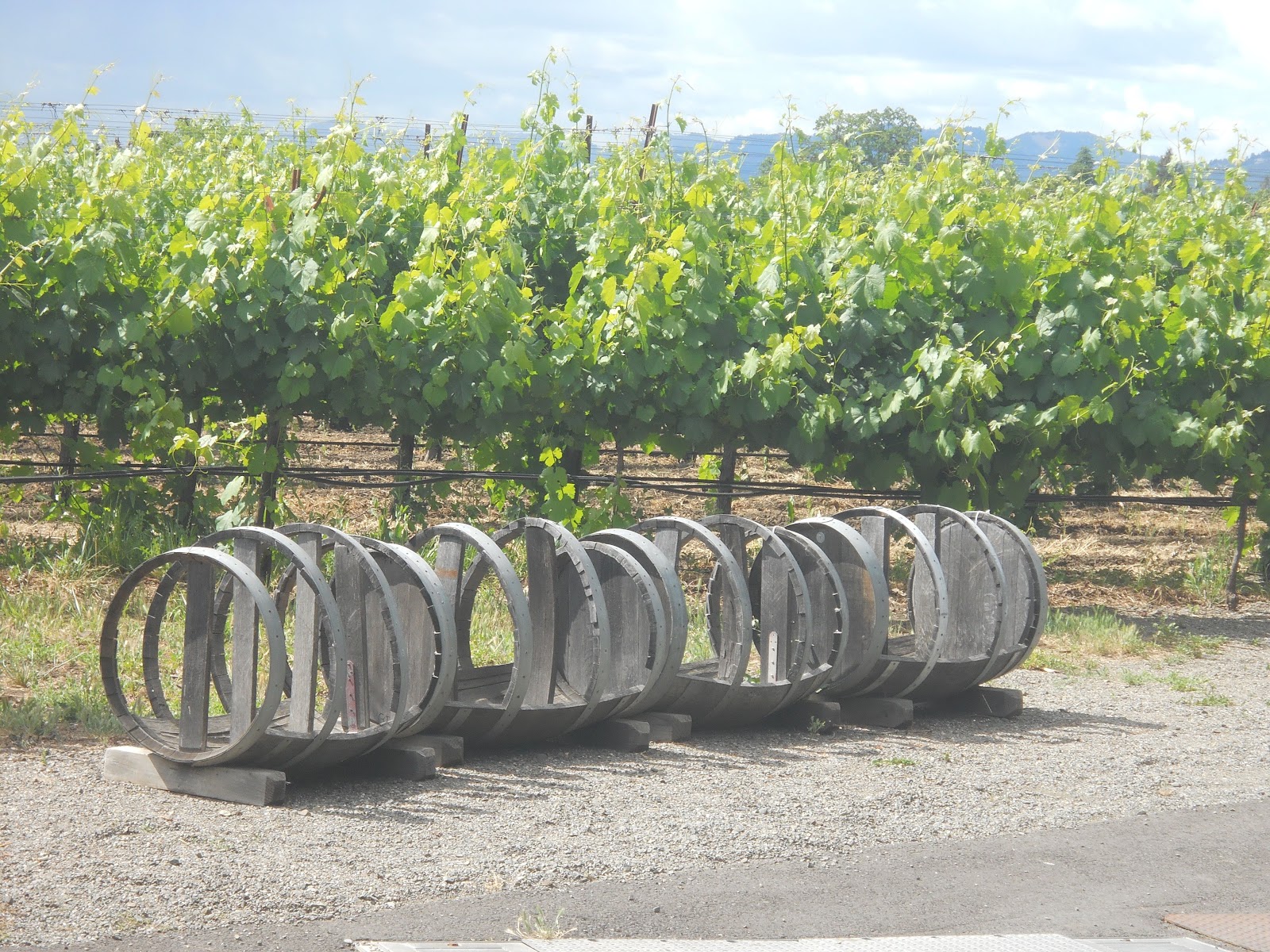 Piccola's Projects CA (Point Reyes and Napa Valley)