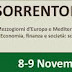 Sorrento Meeting 2013