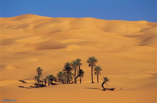 أميرة الصحراء: الصور