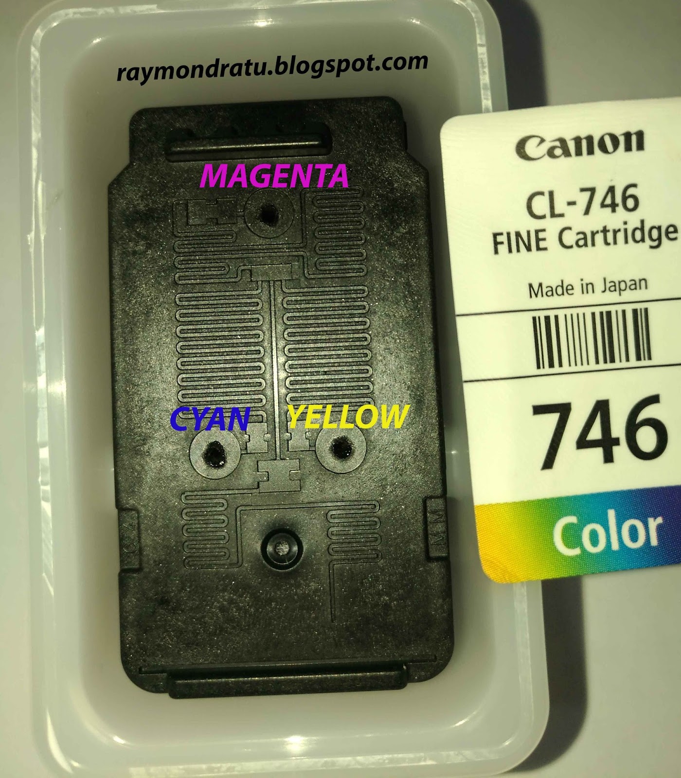 Raymond Ratu March 2017 Raymond Ratu March 2017