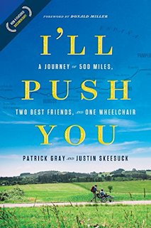 i'll push you book cover