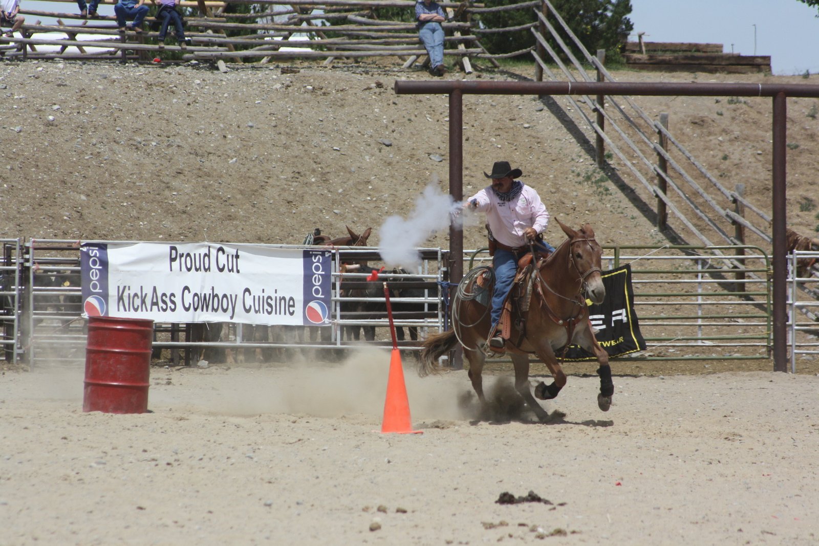 PairADice Mules Mounted Shooting Jake Clark Mule Days