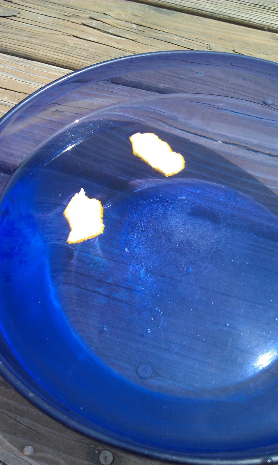 The Cool Science Dad Does an Orange Float or Sink?