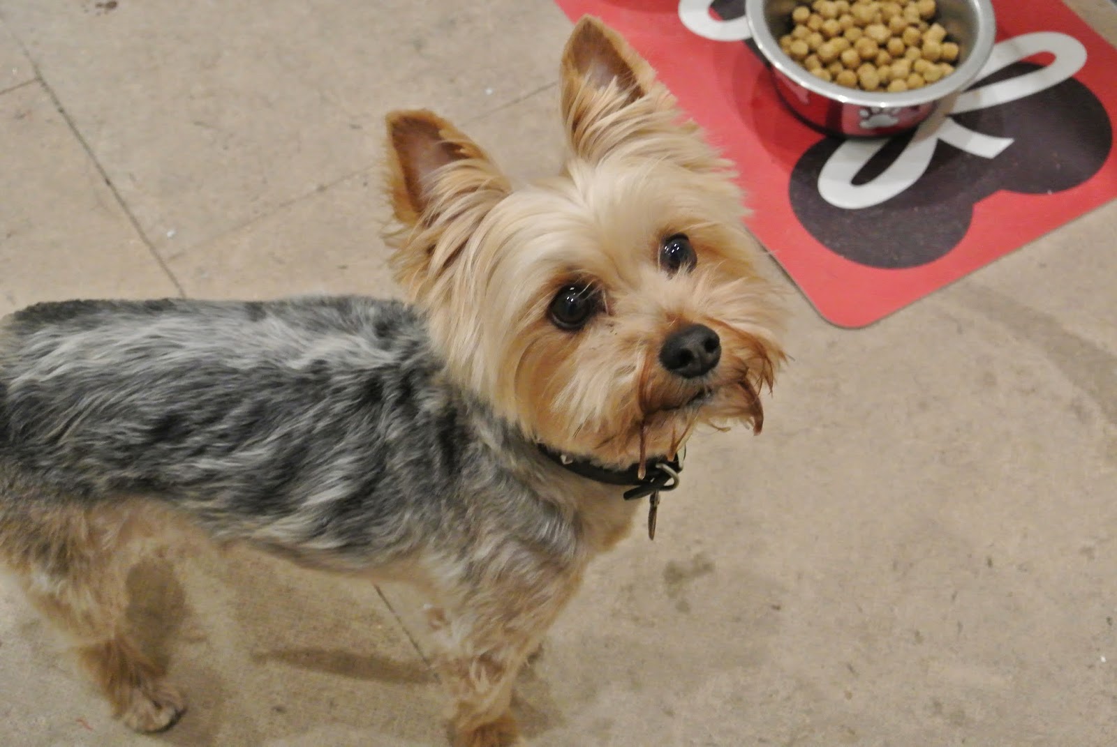 Sew many yarns A haircut, snowballs and a hike.