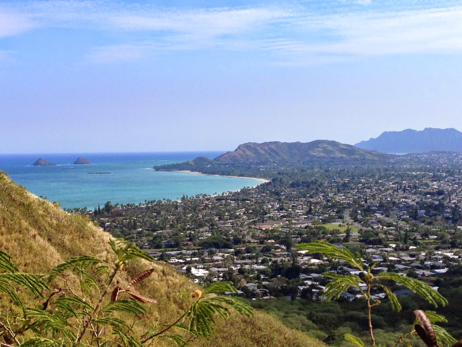 Hiking With Butterflies Pu'u Papa'a (Kalaheo Hills)