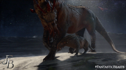 Fantastic Beasts, Graphorn Graphorn