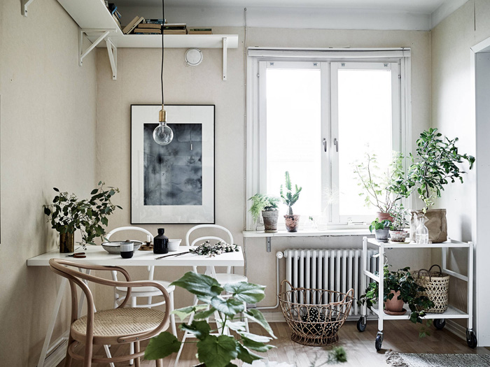 ������������� �����: ���������