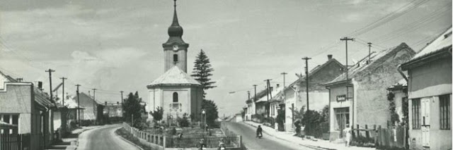 KÃ©ptalÃ¡lat a kÃ¶vetkezÅre: âNagykaposâ