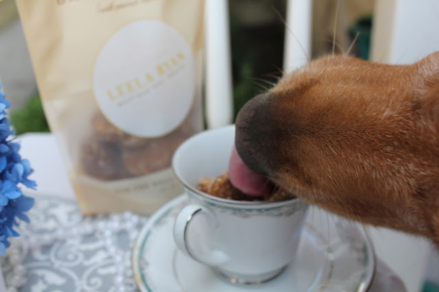 Leela Ryan Organic Banana Pudding Dog Treats Review and Giveaway
