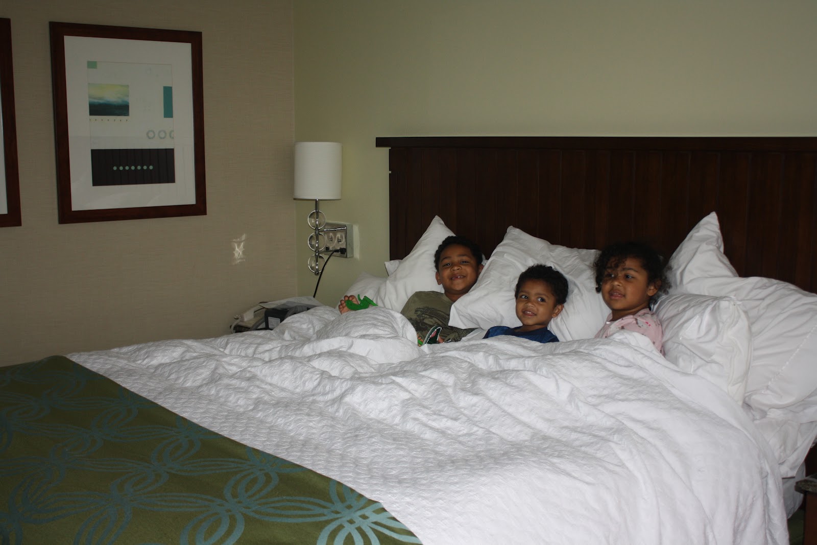 Pillows Used At Embassy Suites Homes Decoration Tips