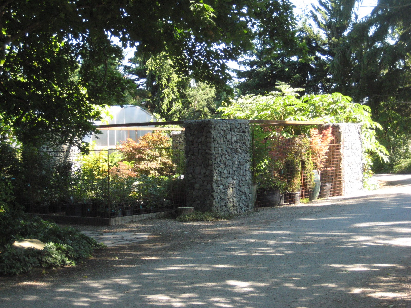 A Next Generation Gardener Vashon Island Garden and Nursery Excursion