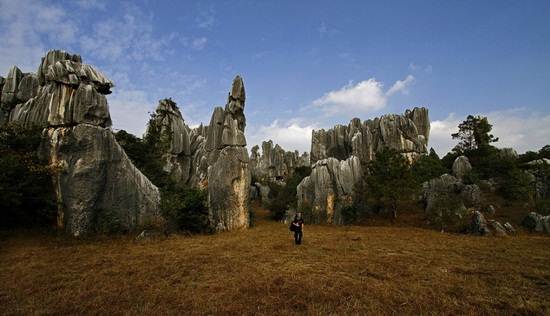 Stone-Forrest-National-Park-Yunnan-China