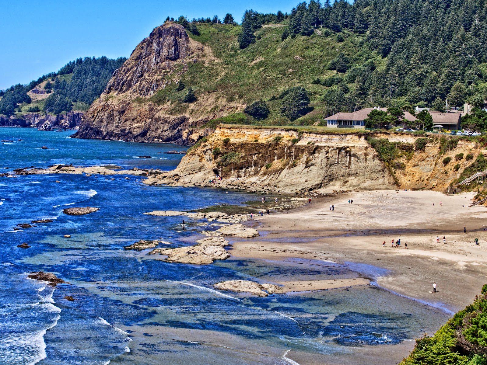Thom Zehrfeld Photography : Otter Crest Loop