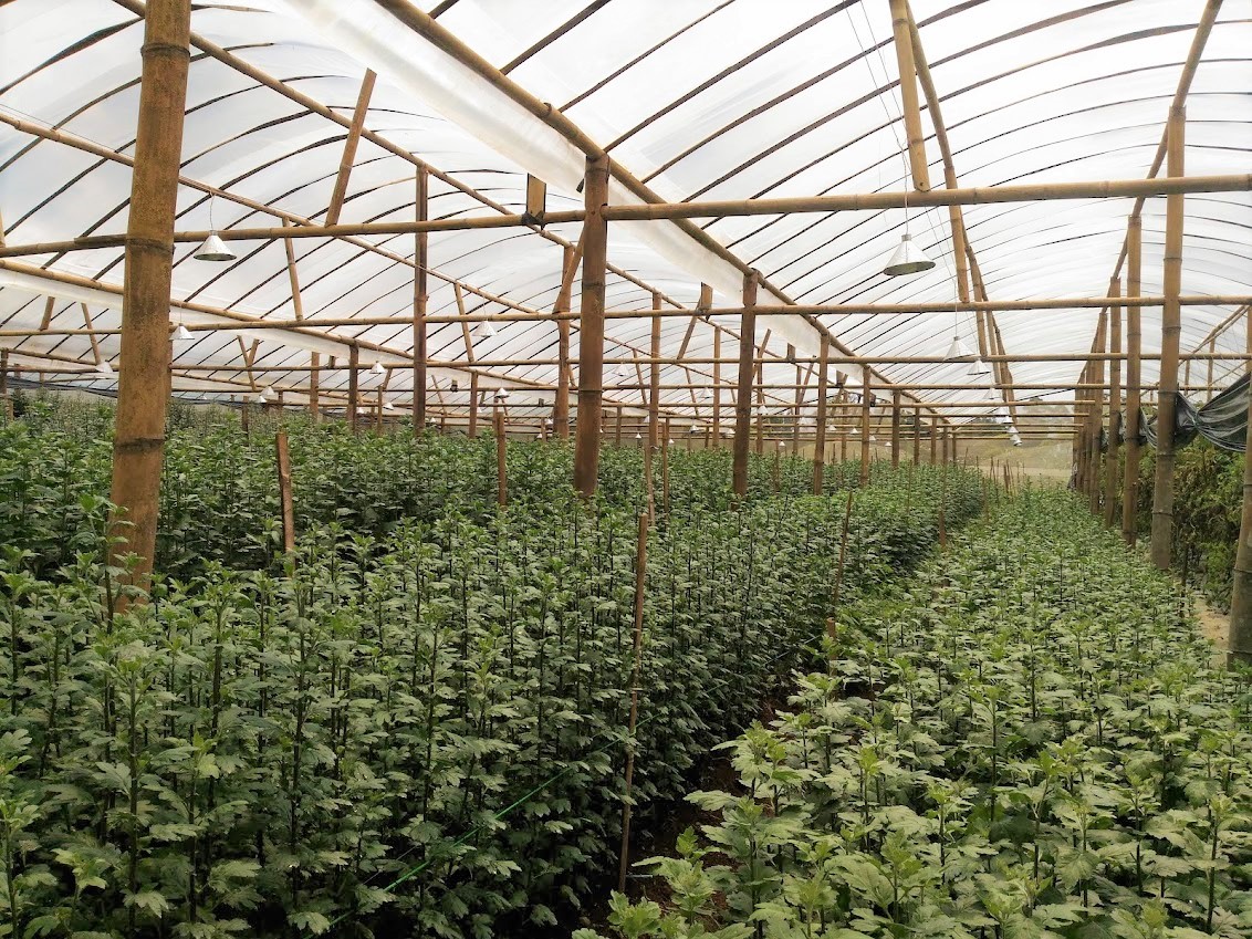 Cozy Home Idea Home Interior Design Makassar