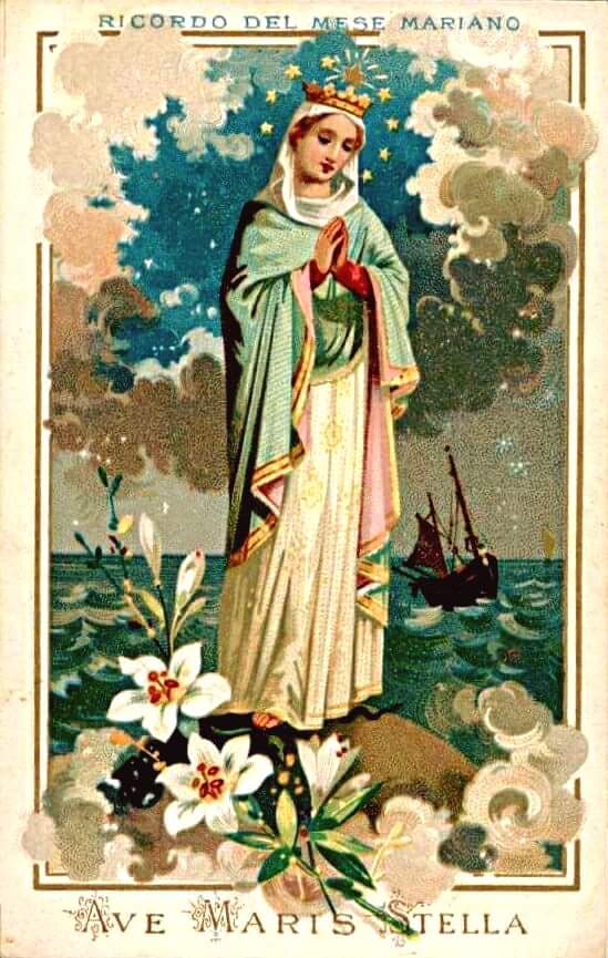 A Catholic Life Why is Mary the Mother of God? An Examination in the