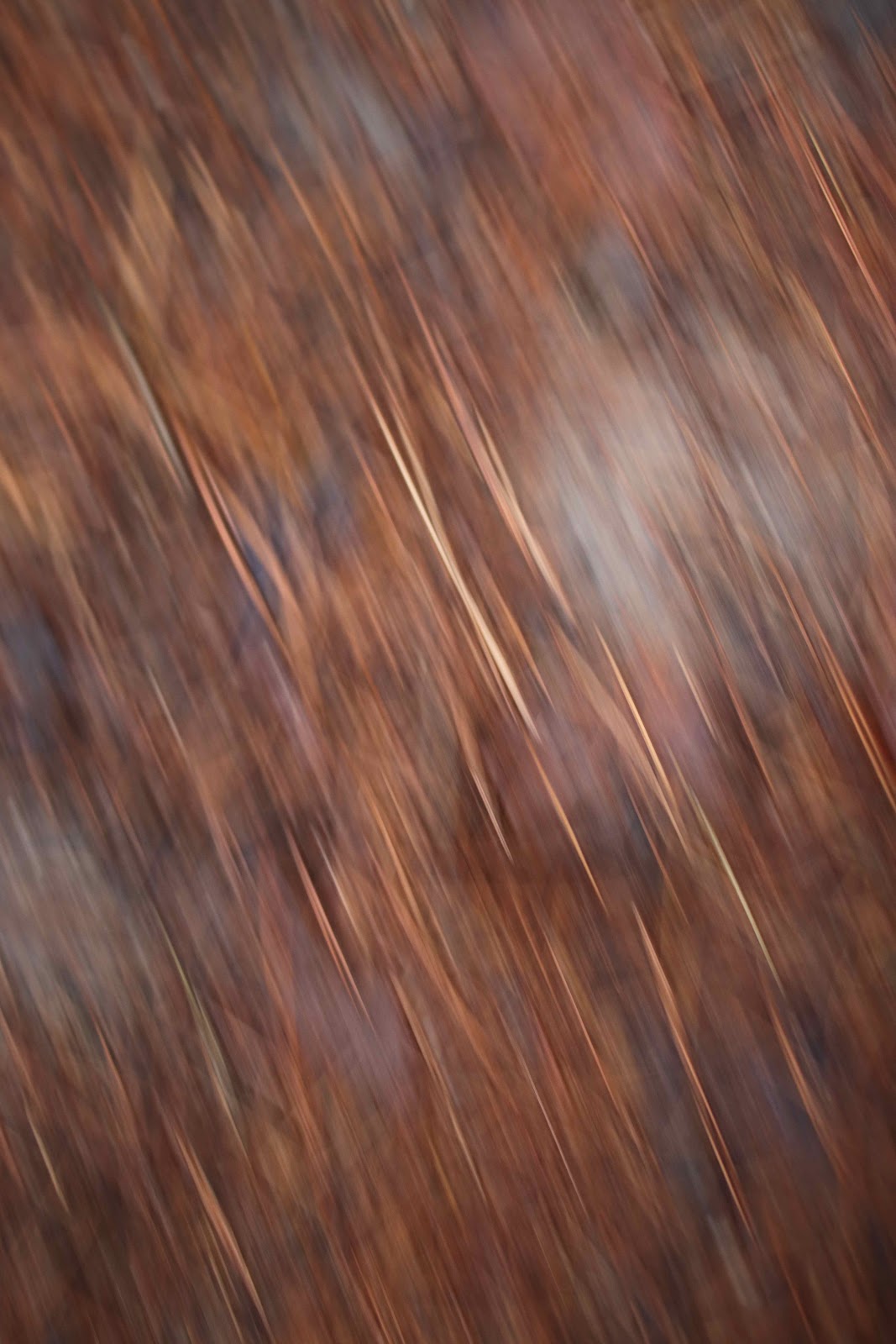 원주 구룡사 원주 구룡사