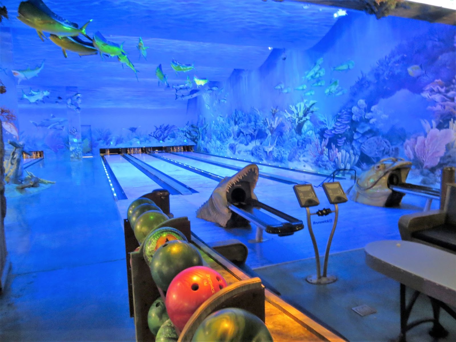 Travel Bug Graceland, Pink Palace, and the Pyramid, Part 2 Tuesday