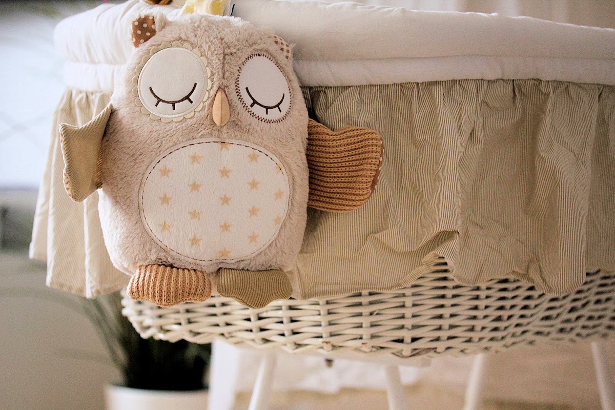 night owl cloud service