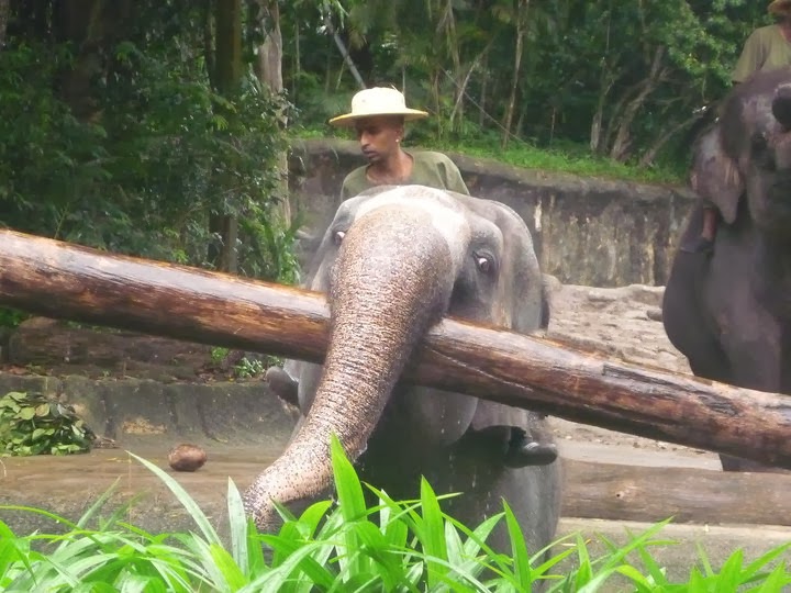 Jaime's Life: A day to the Zoo~~