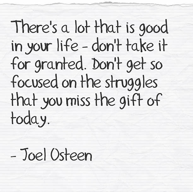 There´s a lot that is good in your life - don´t take it for granted. Don´t get so focused on the struggles that you miss the gift of today. - Joel Osteen