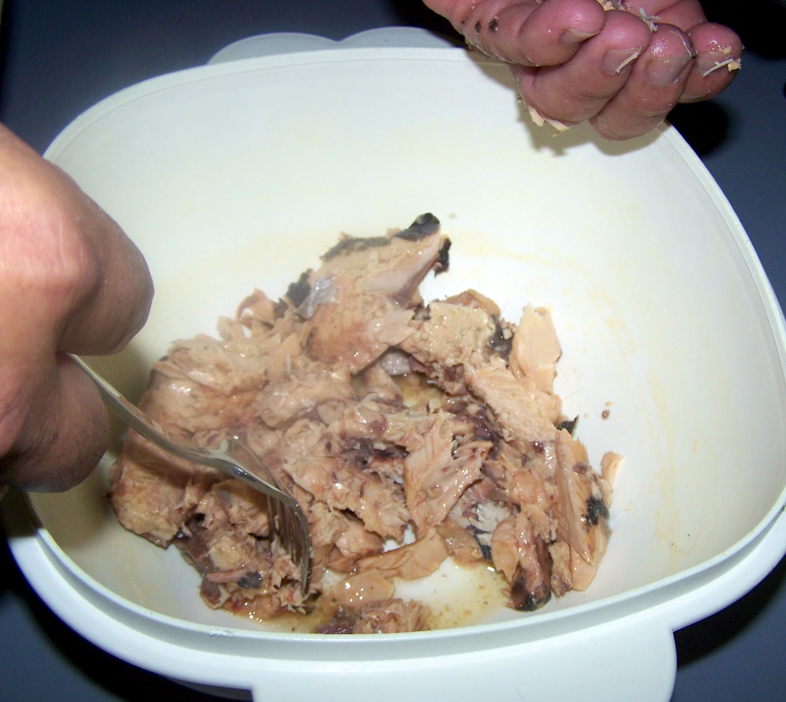 Fried Salmon Patties