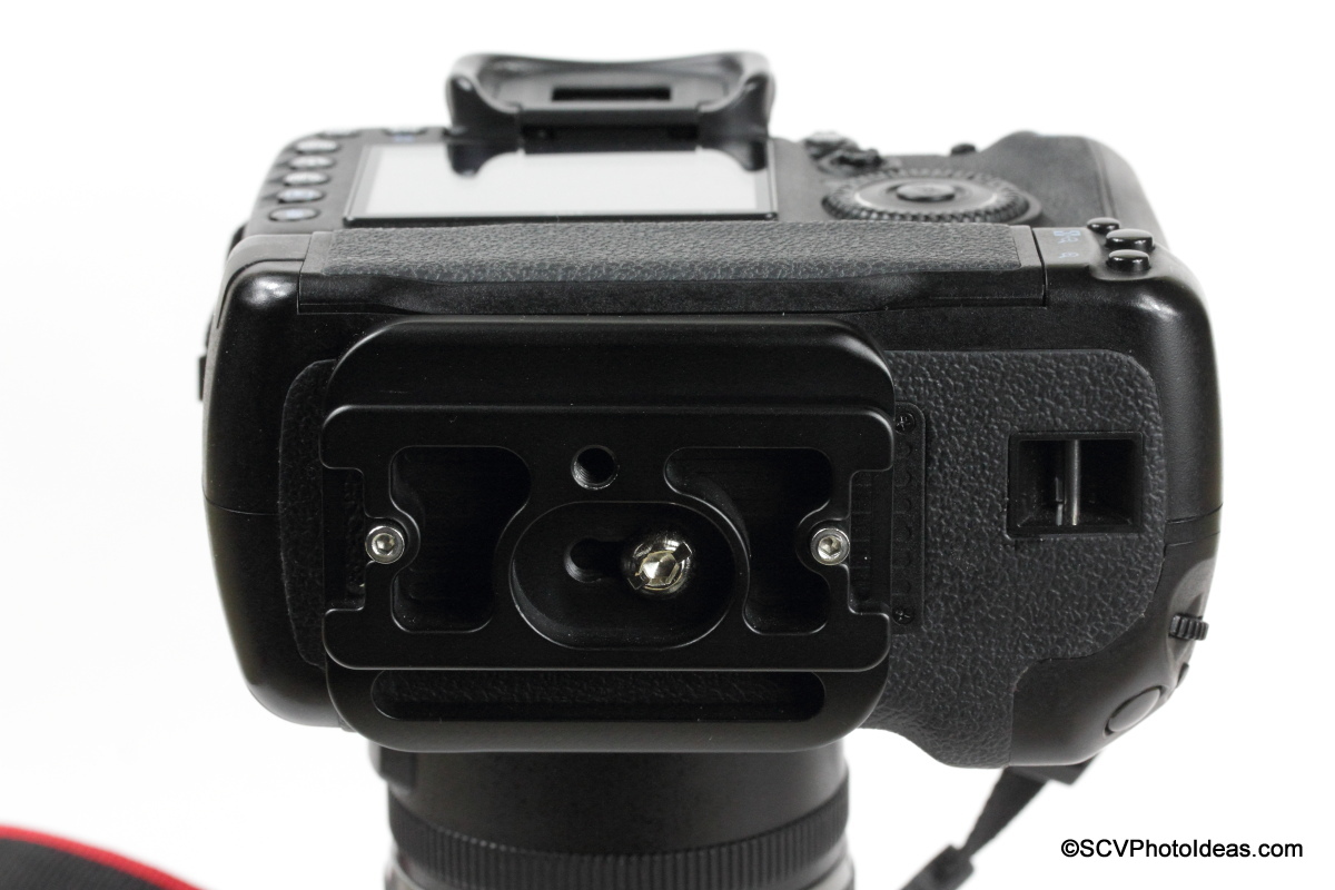 Canon EOS 7D + BG-E7 w/ Desmond D7DG QR Plate installed