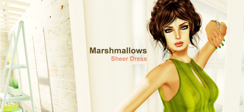 Marshmallows Summer Sheer Dress