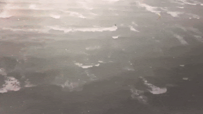 iyqUmx3.gif