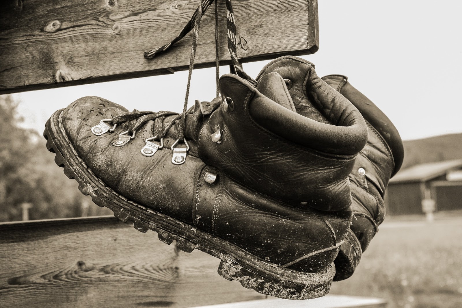 botas vaqueras con casquillo de seguridad