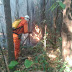 Incêndio atinge área de preservação ambiental em Luís Eduardo Magalhães, na Bahia