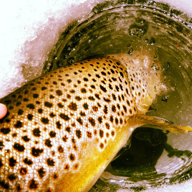 Living Fly Legacy DIY Ice Fishing Automatic Hook Setter