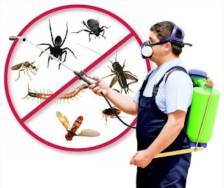 Company-kill-insects-at-home-1 Company-kill-insects-at-home-1