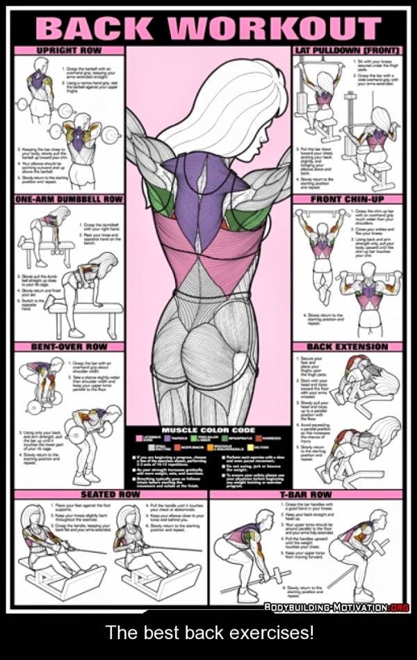 The best back exercises! Tips For Gym