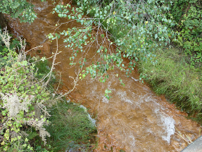 Carnon River, Cornwall Carnon River, Cornwall